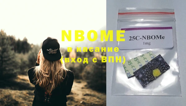 хмурый Зеленокумск