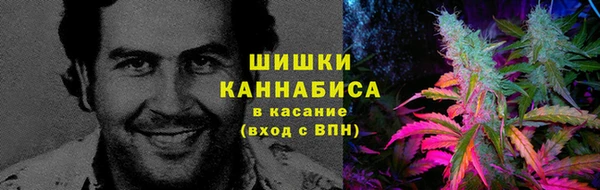 хмурый Зеленокумск