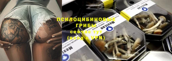 spice Зерноград